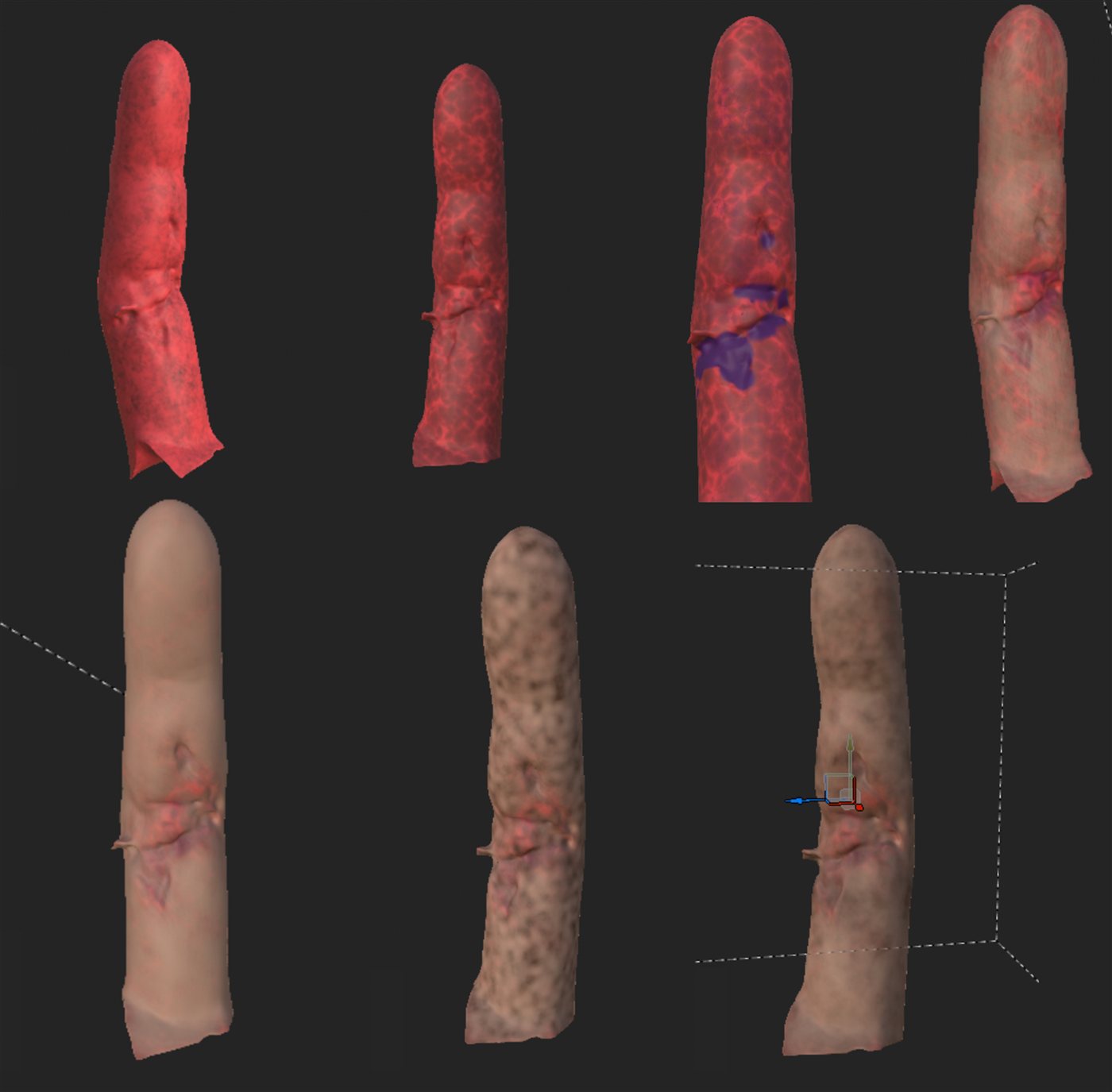 Digit model progression from vascular layer to finished skin surface